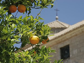 In Sevilla