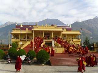Der Karmapa Tempel in Nordindien