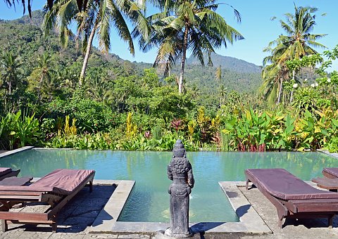 Hotel_Bali_Singaraja_Villa Manuk_Pool