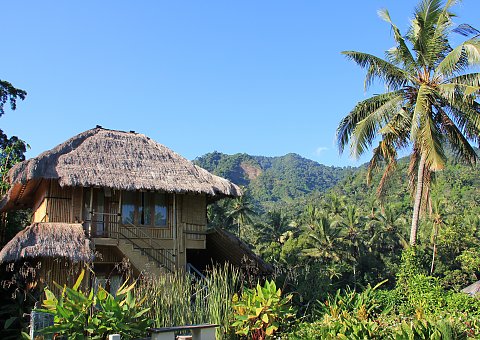 Bali Villa