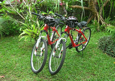 Bali  Singaraja Villa Manuk Aktiv