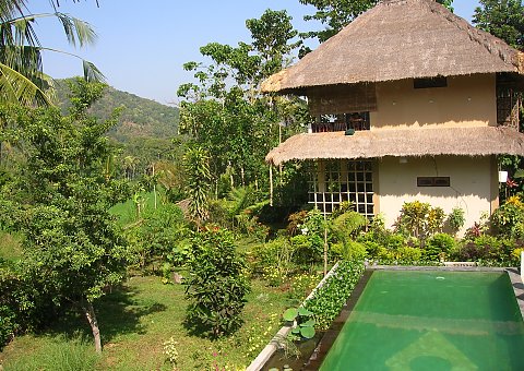 Bali Villa Manuk
