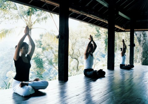 Üben Sie mit einem herrlichen Blick in den Dschungel im Como Shambhala Yoga