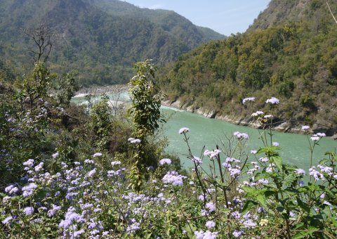 Der Ganges schlängelt sich durch die malerische Landschaft Nordindiens