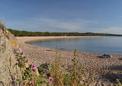 Unberührte Natur am Strand von Torre di Bari