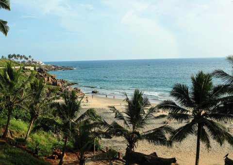 Die Kraft des Meeres am Palmshore spüren