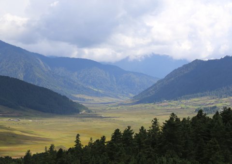 Blick ins Tal von Phobjikha in Bhutan