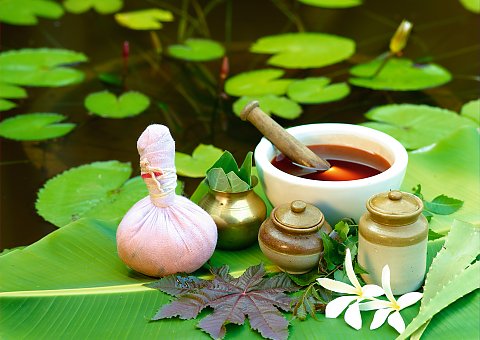 Die ayurvedische Medizin dient für wohltuende Massagen im Poovar Island Resort 