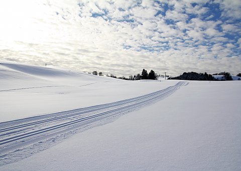 Der Weg ist das Ziel