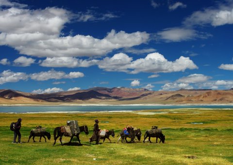 Nomaden in den weiten Tibets
