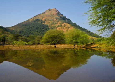 Tiruvannamalai Arunachala 