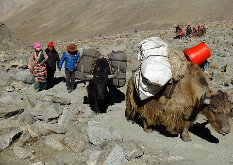 Pilgern Sie durch luftige Höhen an Tibets Dolma La Pass auf 5650 m 