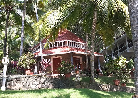 Die Kerala Cottages befinden sich im Grünen und haben einen komfortablen und luftigen Charakter