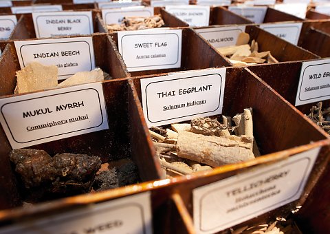 Das Surya Lanka hat seine eigene kleine Ayurveda Apotheke