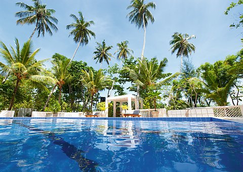 Entspannen Sie unter Palmen am Pool im Surya Lanka