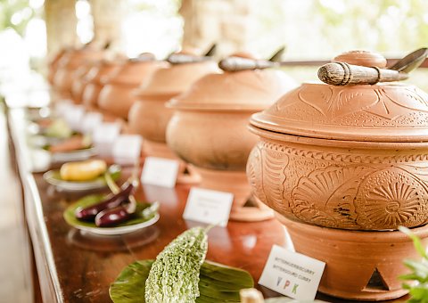 Genießen Sie ausgewählte ayurvedische Speisen, traditionell serviert