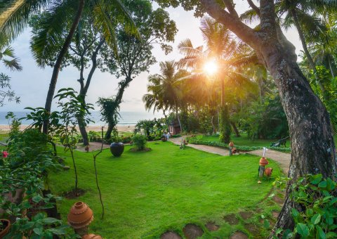 Erholen Sie sich nach Ihrer Panchakarma-Kur im Somatheeram Ayurveda Resort bei einem Spaziergang im Garten