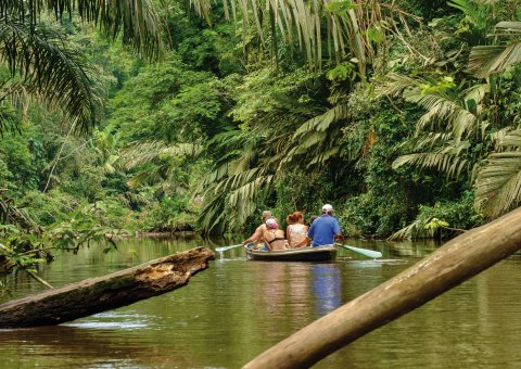Bootsfahrt durch den Tortuguero Nationalpark