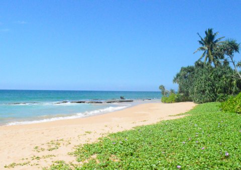 Der paradiesische Sandstrand am ANANDA Ayurveda Resort