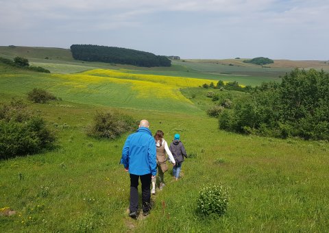 Auf einer Wanderung lernen Sie die schöne Halbinsel Mönchgut kennen!