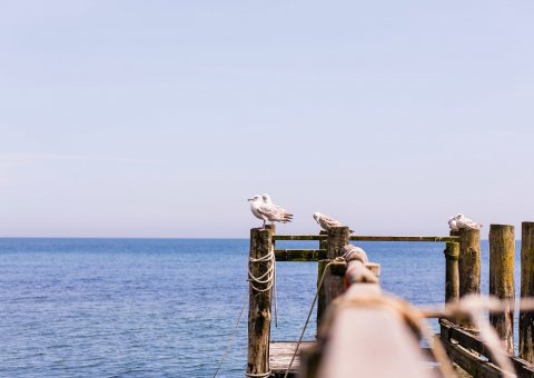 Lassen Sie Ihre Seele baumeln bei einer Yogareise an die Ostsee!