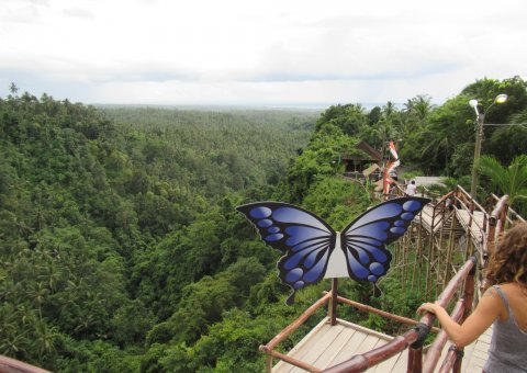 Ausflug mit Ausblick über den üppigen Jungle Balis an der Green Cliff