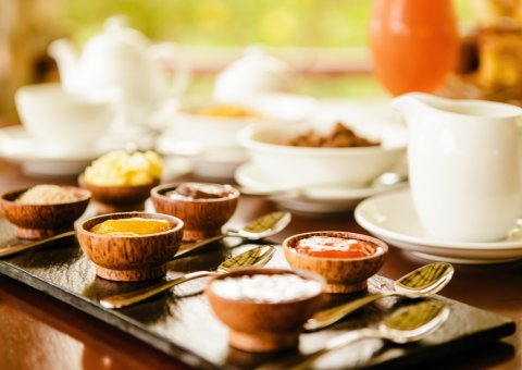 Ihr Essen während Ihrer Ayurveda Kur im Thaulle ist genau auf Ihre Bedürfnisse abgestimmt