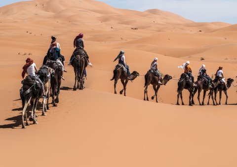 Beim Kameltrekking können Sie sich wie ein echter Wüstennomade fühlen