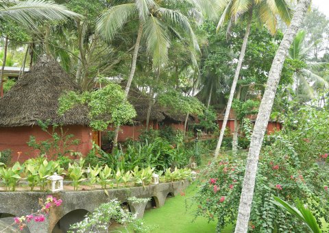 Versteckt im Grün des Gartens stehen die Cottages