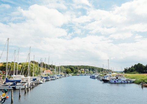 Während einer Wanderung oder einer Fahrrad Tour lernen Sie die idyllische Landschaft von Rügen kennen!