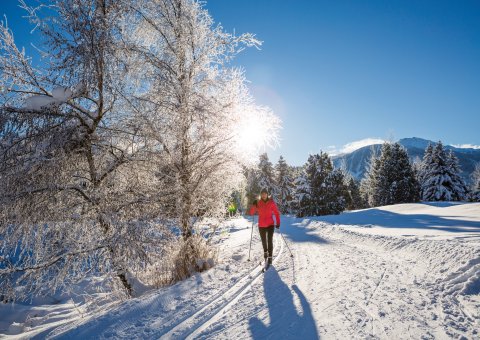 Erkunden Sie im Winter die über 120km Langlauf-Loipen in der Umgebung