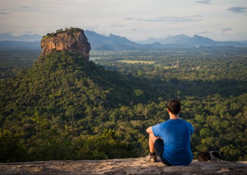 Der überwältigende Blick zum Sigiriya Felsen und über den Dschungel Sri Lankas