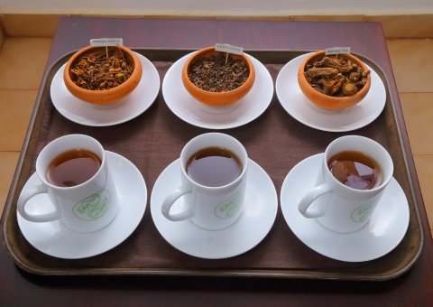 Verschiedene Kräuterteesorten ergänzen Ihre Ayurveda Kur auf Sri Lanka 