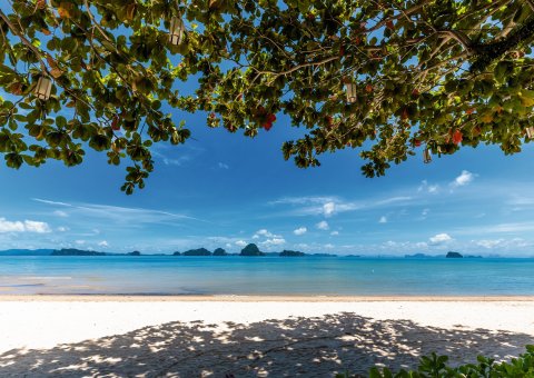 Genießen Sie die Aussicht und Ruhe am Strand von Krabi 
