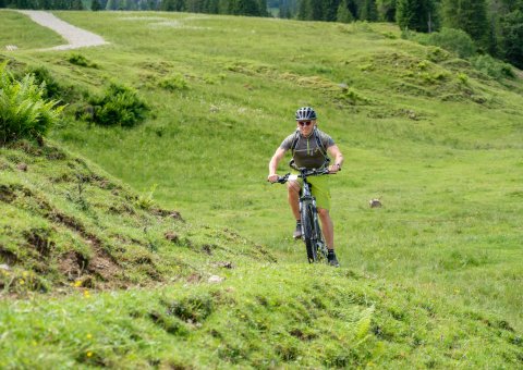 Fahrrad Touren durch das Allgäu runden Ihren Yoga Urlaub im Bio-Berghotel Ifenblick ab 