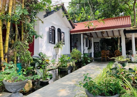 Die HIRU Villa ist eingebetten in einen blühenden exotischen Garten