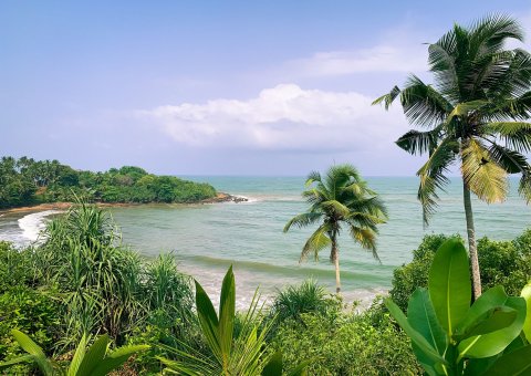 Vor Ihnen erstreckt sich ein traumhafter Ausblick auf die palmengesäumte Küste Sri Lankas