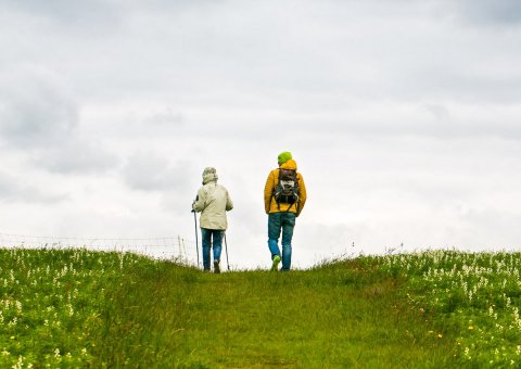 Auf der Halbinsel Mönchsgut können Sie lange Spaziergänge und Wanderungen unternehmen. 