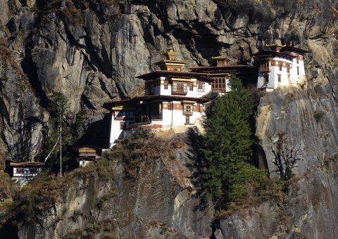 Eine stolze Atmosphäre umgibt das Tigers Nest mit mächtigen Mauern am Fels