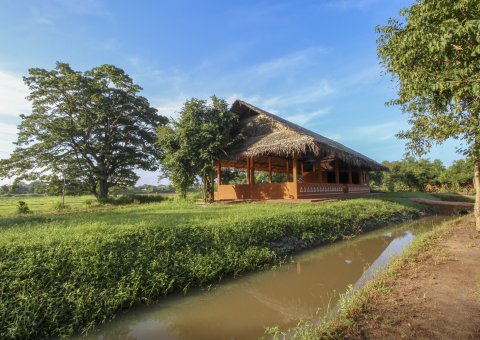 Entspannen Sie bei Yoga inmitten der Natur des Ayurvie Sigiriya