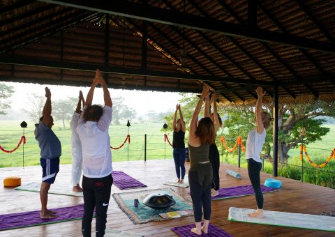 Gemeinsam in kleiner Gruppe Yoga üben