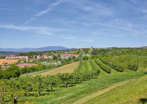 Panoramablick auf das Ayurveda Resort Mandira