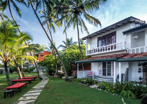 In der HIRU Villa stehen die Palmen direkt vor Ihrer Tür