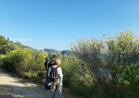 Wanderungen am Meer entlang begeistern mit tollen Ausblicken.