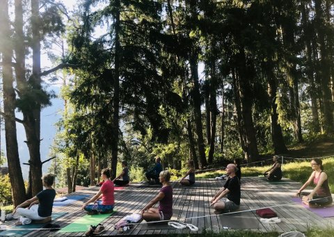 Mit der Ruhe des Waldes lässt sich Yoga am Besten praktizieren 