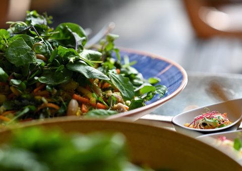 Genießen Sie leckere vegetarische Kost 