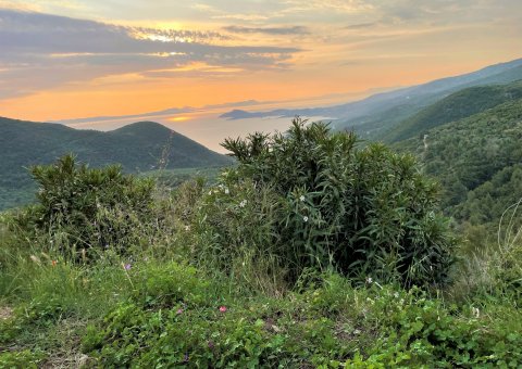 Sonnenuntergang über der Bucht von Arillas