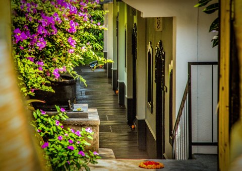 Wohlfühlatmosphäre pur im Zen Resort durch das viele Grün in der Anlage