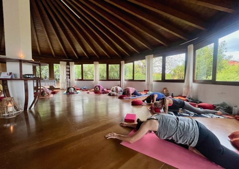 Die Yogahalle im Grünen bietet Platz für intensive Yoga-Stunden