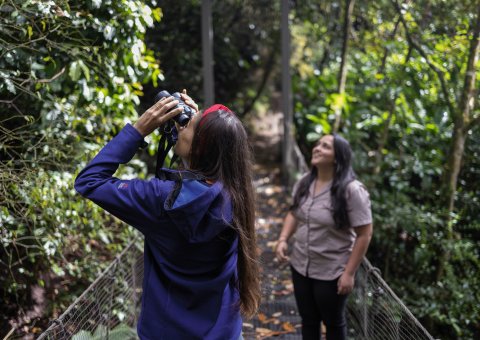 Die Tierwelt bei einer geführten Wanderung kennenlernen